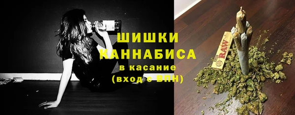 apvp Каменногорск