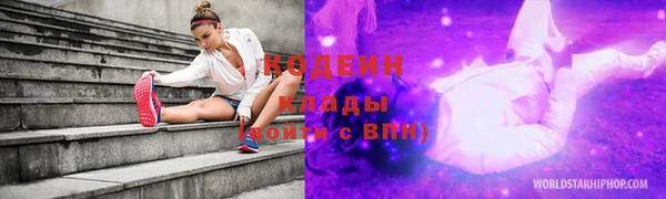 амф Каменка