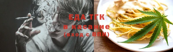 амф Каменка