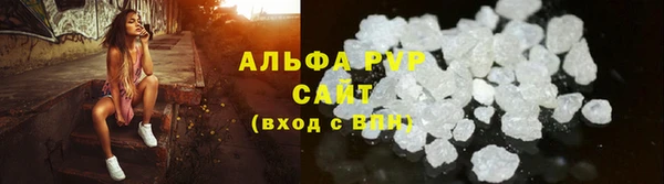 амф Каменка