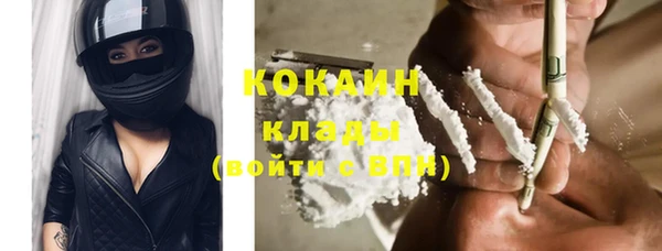 apvp Каменногорск