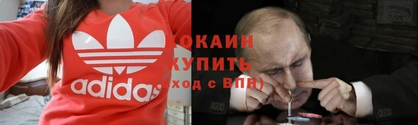 амф Каменка