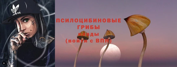 apvp Каменногорск