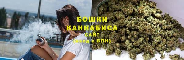 амф Каменка