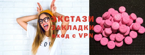 амф Каменка