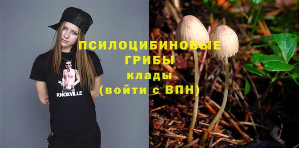 амф Каменка