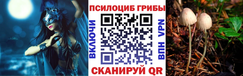Купить  Монино  Псилоцибиновые грибы Psilocybine cubensis 