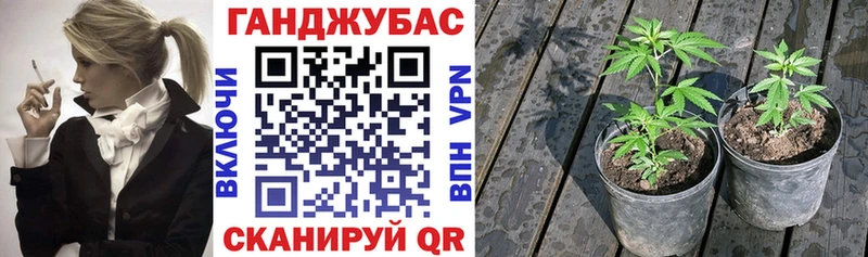 Купить  Монино  Шишки марихуана AK-47 